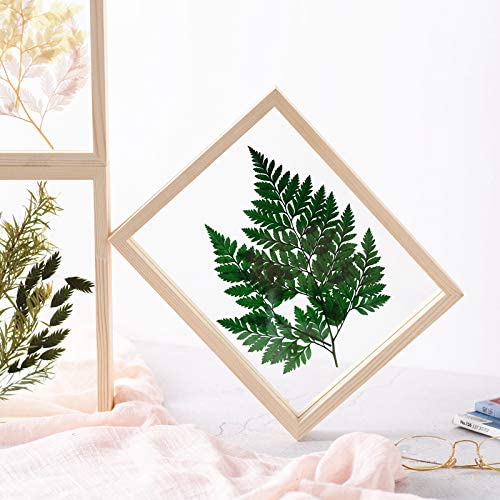 Rectangle Wood Photo frame for Home Decoration
